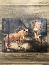 Animal Lion Wall Art Canvas Print 16”x12”x.75”