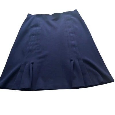 Coldwater Creek Skirt Women's Blue Knee Length Pleated A-Line Size Small (8) - Image 1 of 4