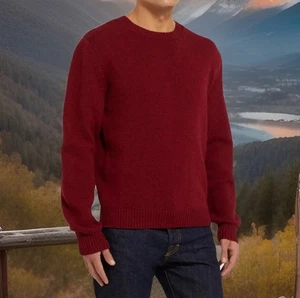 A.P.C. RUE MADAME PARIS Sweater Mens S. Wool Blend Crewneck Lightweight Red $355 - Picture 1 of 17