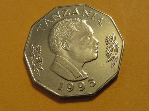 1993 Tanzania coin 5 shillings unc Beauty animal coin Sweet!  F.A.O. issue  COW Cover
