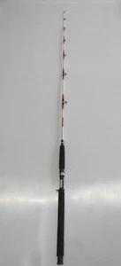 Classic Nite Stick Catfish Casting Rod 7' 1PC Glow Tip Red - Picture 1 of 5