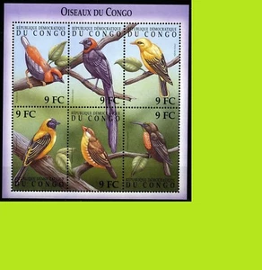 (2) República Democrática del Congo 2000 Aves del Congo - Hoja de recuerdo - MNH - Imagen 1 de 1