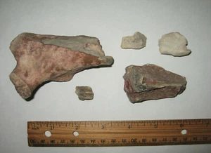 Fossil Mammal Bone Lot Pieces Eocene Oligocene White River SD Badlands Oreodont? - Picture 1 of 6