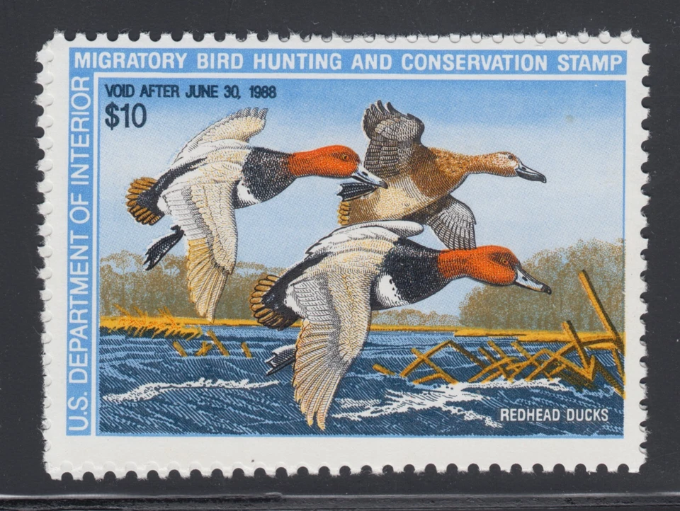 US Sc RW54 MNH. 1987 $10 Redhead Ducks, short perfs at top, Duck Stamp - Image 1 of 1