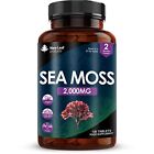 Sea Moss Tablets Extract High Strength 2000mg - Sea Moss Supplement 120 Tablets