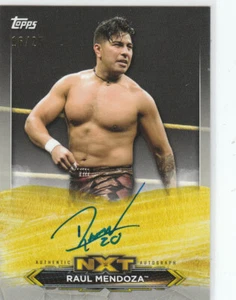 Raul Mendoza WWE Topps 2020 NXT Silver #1/25 Autograph Card- On Card Auto  - Picture 1 of 2