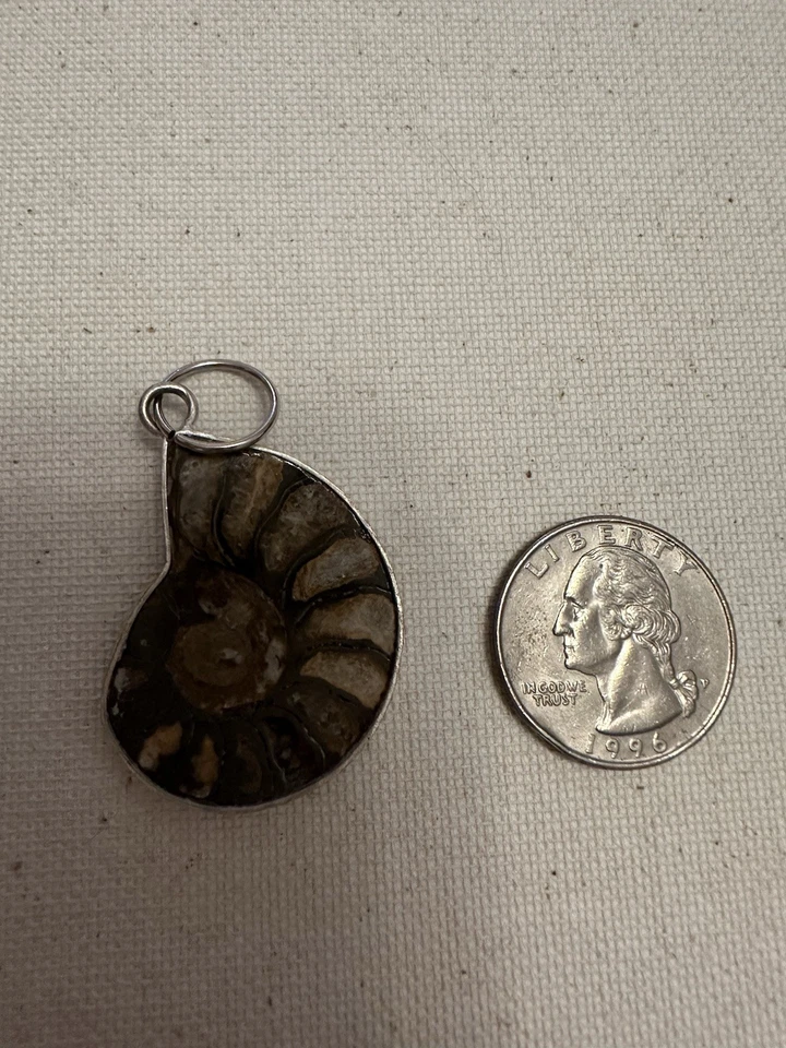 Bonito juego de colgantes fósiles en plata de ley Foto 1 de 1