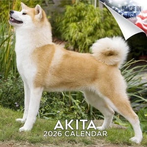 AKITA Wall Calendar 2026 DOG Lover Pet Lover Gift - Picture 1 of 2