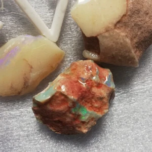*VIDEO 69.40CTS Australian OPALISED SHELL FOSSIL SPECIMEN OPAL - Picture 1 of 6