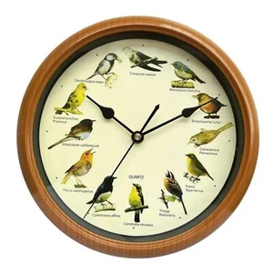 Singing Bird Wall Clock Bird 10 Inch Bird Clock that Sings On Hour Home Decor UK - Picture 1 of 8