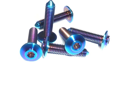 S1000RR Titan ENA52556 Verkleidung Schraube M6X27 Rennen Burnt Blaue Farbe T25 - Bild 1 von 4