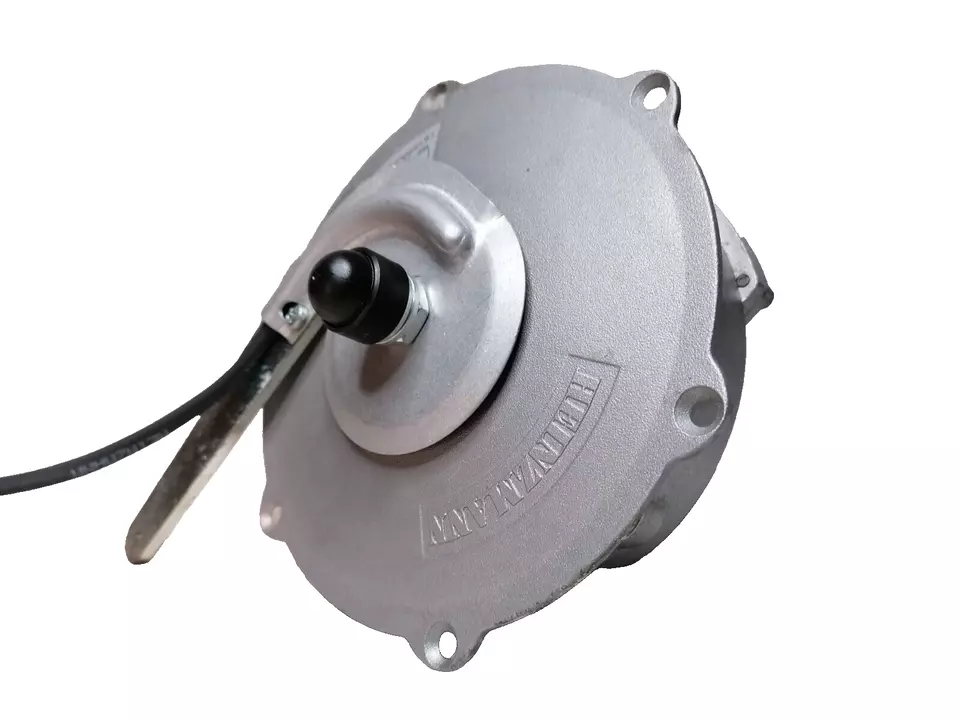 Heinzmann Motor ohne Nabe RN120-2NFB-i=16,96:1 36V neues Modell AZK00631 (E24) - Bild 1 von 4