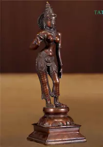 12 Zoll schöne Göttin Uma. Göttin Parvati Messing Statue - Bild 1 von 9