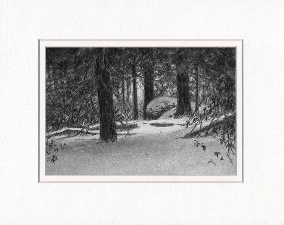 Dibujo, paisaje de invierno, sombras Hemlock, 4"x6", blanco y negro, grafito, lápiz Foto 1 de 1