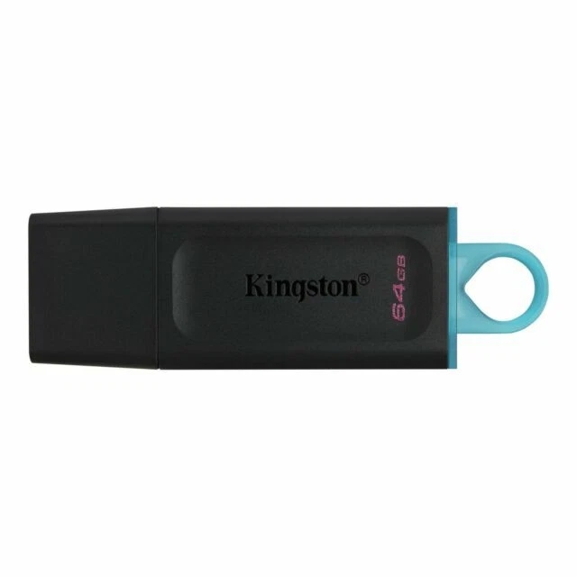 Kingston 64GB Memory Card (DTX64GB)