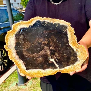 4.33LB Large Natural Petrified Wood Crystal Fossil Slice Shape Specimen Healing - Picture 1 of 13