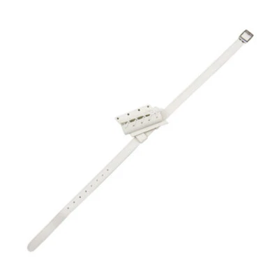 Medieval Cosplay Sword Frog Holster With Belt Rapier Scabbard Holder Belt NEW — 第 1/4 张图片