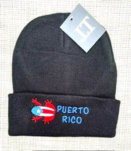 Puerto Rico Coqui PR Frog Gorro Adulto Unisex Negro 100% Acrílico Bordado - Imagen 1 de 2