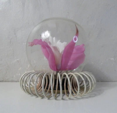 globe oraflore en verre avec orchidée SGDG vintage - Photo 1/4