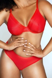 NWT Parfait Maya P5753 Hipster Panty - Cherry IN STOCK - Picture 1 of 4