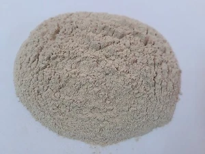 Safed Musli Chlorophytum borivilianum Pulver 60g rein & 100% Original Kraut - Bild 1 von 3