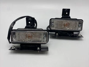 1969 Chevelle & EI Camino “SS” Parking Lamp Assembly Pair - Picture 1 of 3