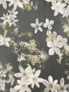 1.7M Stretch Green White Floating Floral Print Silky Jersey Dressmaking Fabric - Picture 1 of 3