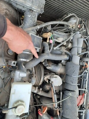 89 Jaguar XJ6 XJ-6 1988 VÁLVULA DE AIRE manguera derivación aspecto OEM Foto 1 de 4