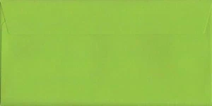 Sobres de color verde lima 114 mm x 229 mm cáscara/sello 120 gmm DL+ (tri-plegable A4) - Imagen 1 de 1