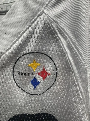 Camiseta Reebok On Field Troy Polamalu Blanca PITTSBURGH STEELERS Juvenil NFL Réplica Foto 1 de 4