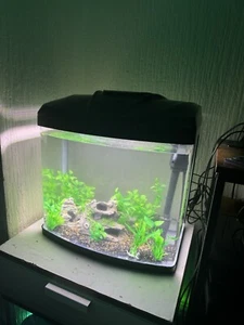 fish tank - Picture 1 of 1