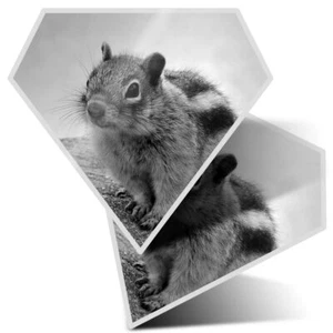 2 x Diamond Stickers 7.5cm BW - Cheeky Wild Little Chipmunk Rodent #36907 - Picture 1 of 9