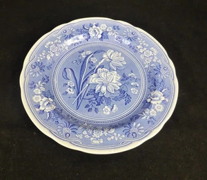 Vintage Spode Blue Room Collection 'Botanical' Collectors Plate 10.5" - Picture 1 of 8
