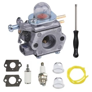 Carburetor For Craftsman WS2200 WC2200 WS210 WC210 P210 41AD25SC793 25CC 27CC - Picture 1 of 5