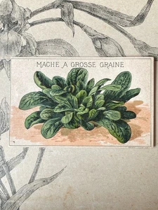 Etiquette Chromo Légume ancien Vilmorin mache graine Horticulture Catalogue - Picture 1 of 1