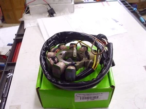 RICK'S MOTORSPORT ELECTRICS STATOR POLARIS 21-554 ELECTRICAL CHARGING SYSTEM!# - Bild 1 von 9