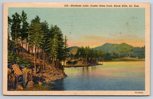 A497 Vintage Postkarte Stockade Lake Custer State Park Black Hills South Dakota - Bild 1 von 2