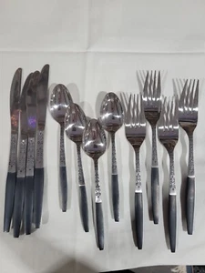 Interpur INR2 Stainless Black Wood Handle 12 pcs MCM Flatware forks spoons Knive - Picture 1 of 1