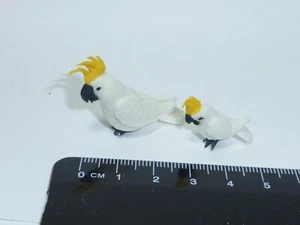 Paar Nymphensittiche Puppenhaus Miniatur Gartenvogel im Maßstab 1:12  - Bild 1 von 1