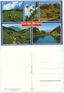 15974 - Col des Mosses - alte Ansichtskarte - Picture 1 of 1