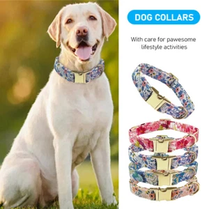Personalized Dog Collar Custom Engraved Pet Name  Durable Nylon Adjustable XS-L - Picture 1 of 25
