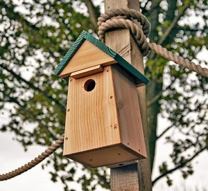 Carolina Bird Nest Box - Picture 1 of 4