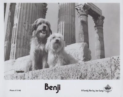 Benji РЕДКАЯ 1974 руины храма Афины 10 x 8 оригинальный неподвижный фильм фото - Изображение 1 из 2