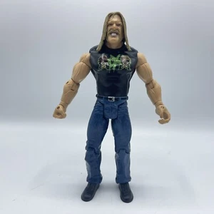 2007 WWE Jakks Pacific Ruthless Aggression Series 24 "Ring Rage" Triple H D-X - Bild 1 von 5