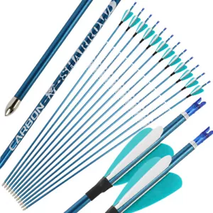 31" Pure Carbon Arrows SP400-1000 Shaft 2" Feathers ID4.2mm Archery Bow Hunting - Picture 1 of 19