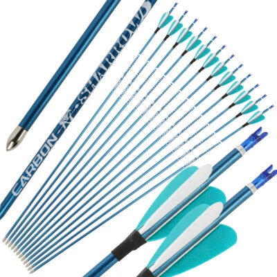 31" Pure Carbon Arrows SP400-1000 Shaft 2" Feathers ID4.2mm Archery Bow Hunting - Image 1 of 4