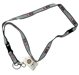BOSTON RED SOX LANYARD AMINCO GRAY AUTHENTIC MLB BASEBALL TEAM LOGO NEW - Picture 1 of 1