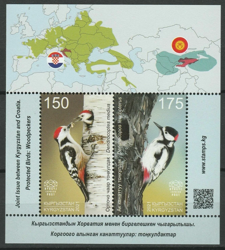 165.KYRGYZSTAN 2021 STAMP M/S PROTECTED BIRDS, WOOD PECKER. MNH - Image 1 of 1