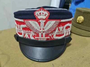 WW1 WW2 Italian Fascist Army Generals Field - Picture 1 of 8