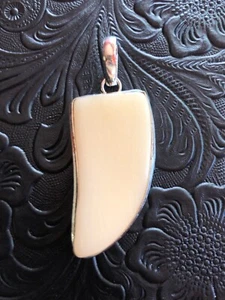 Carved Agate Claw Pendant 2" Artisan Southwest - Picture 1 of 5